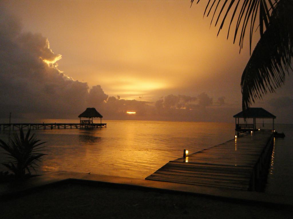 Cocotal Inn And Cabanas San Pedro  Eksteriør billede